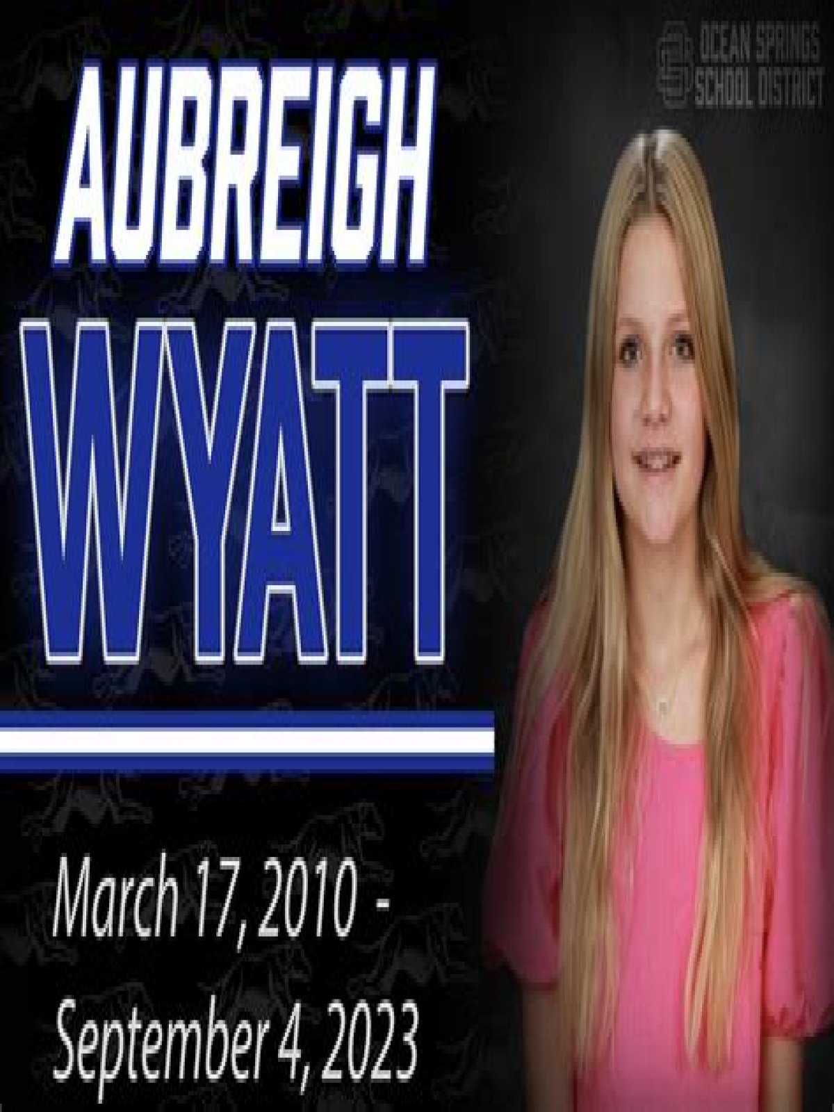 Aubrey Wyatt: The Story Behind The Bully Arrest