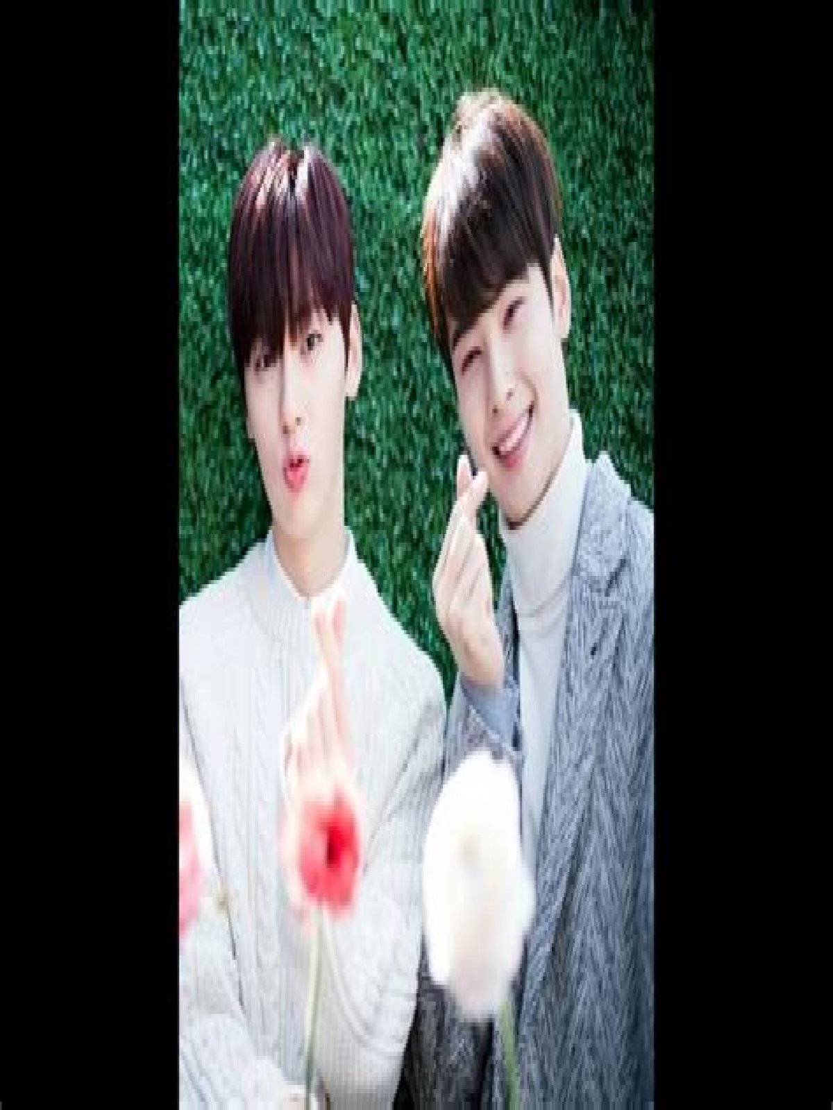 Hwang Min-hyun And Cha Eun-woo: The Rising Stars Of K-Pop And K-Drama