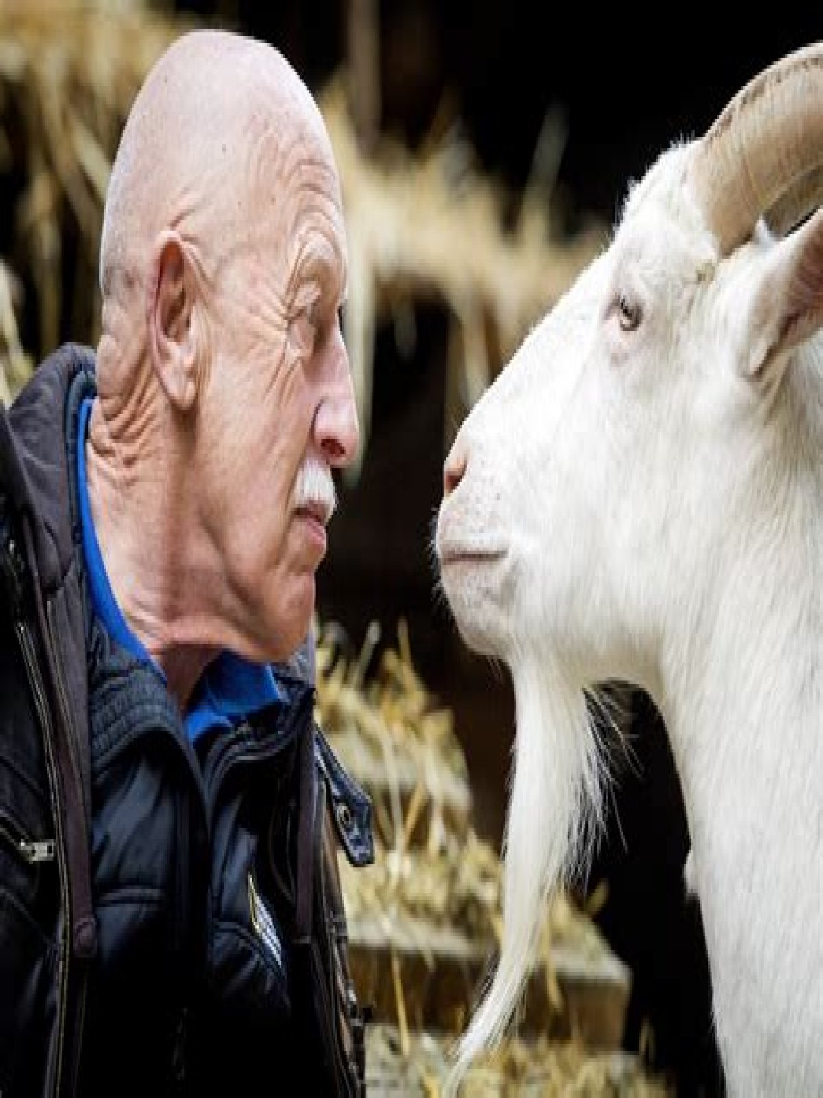 Is Dr. Pol Retired? The Truth Behind The Beloved Veterinarian