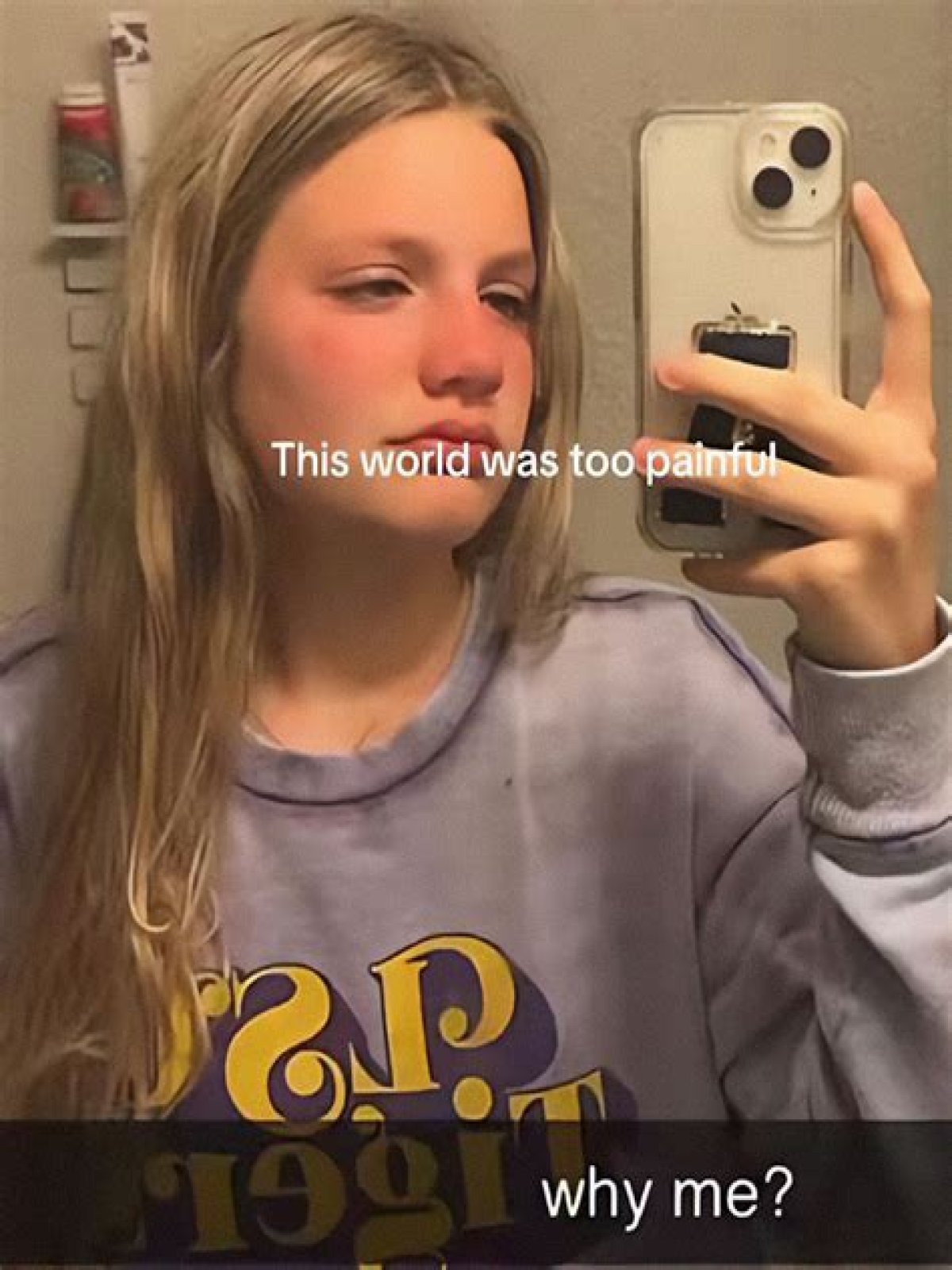 Unmasking The Shadows: Exploring Aubreigh Wyatt Bullies Names