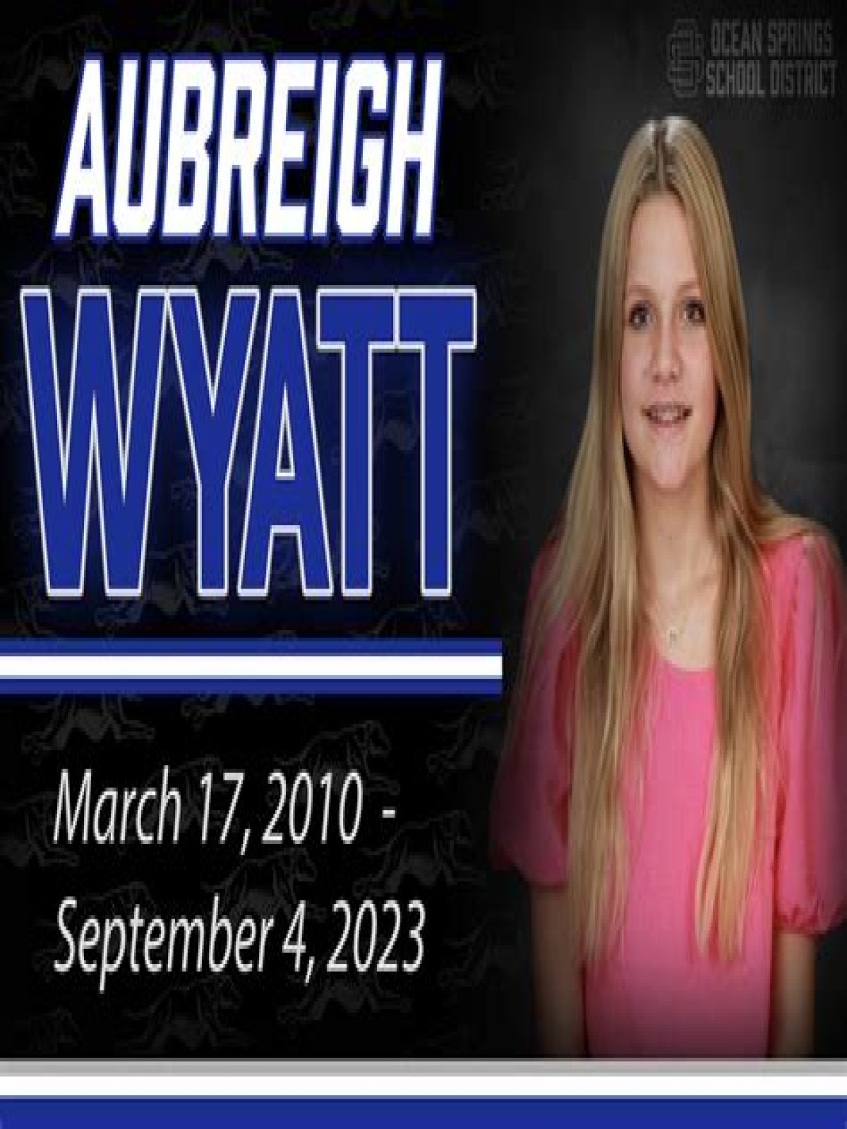 Unraveling The Mystery: How Did Aubreigh Wyatt Commit?